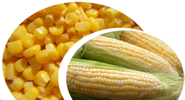 Регулятор росту  для вирощування кукурудзи